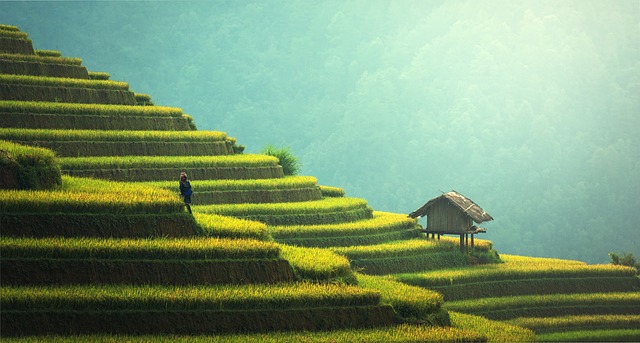 Ile czasu leci się na Bali? Ile czasu leci się na Bali?
