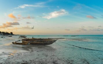 Kiedy najlepiej wybrać się na Zanzibar? Kiedy najlepiej wybrać się na Zanzibar?