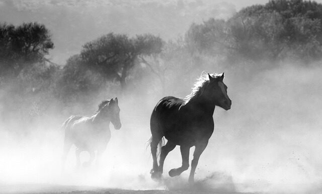 Gdzie można palić papierosy w Tajlandii?