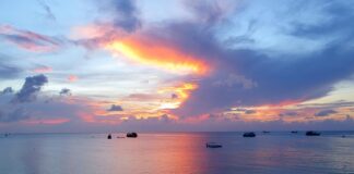 Gdzie nurkować na Koh Tao? Gdzie nurkować na Koh Tao?